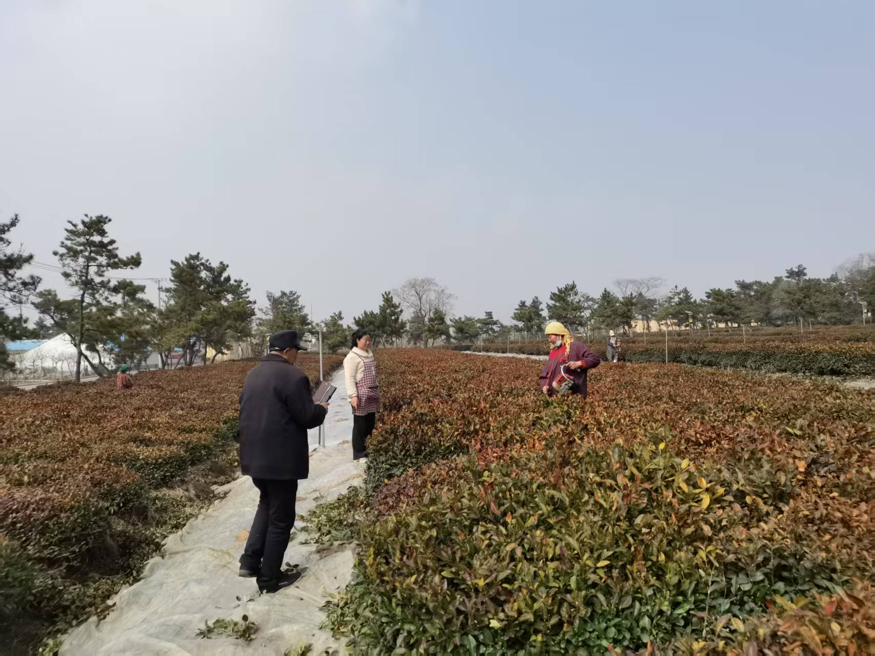 /gb2312/xianqugonghui/17222.html